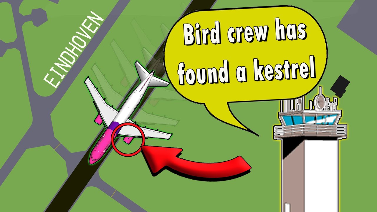 Wizzair A320 | BIRD STRIKE ON TAKEOFF | Rejected takeoff at Eindhoven