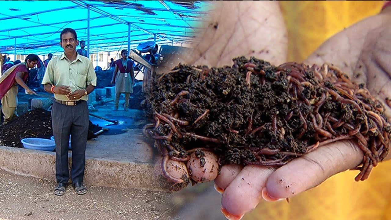 வருடத்திற்கு 200டன் மண்புழு உரம் தயாரிக்கும் மாணவர்கள் | Malarum Bhoomi