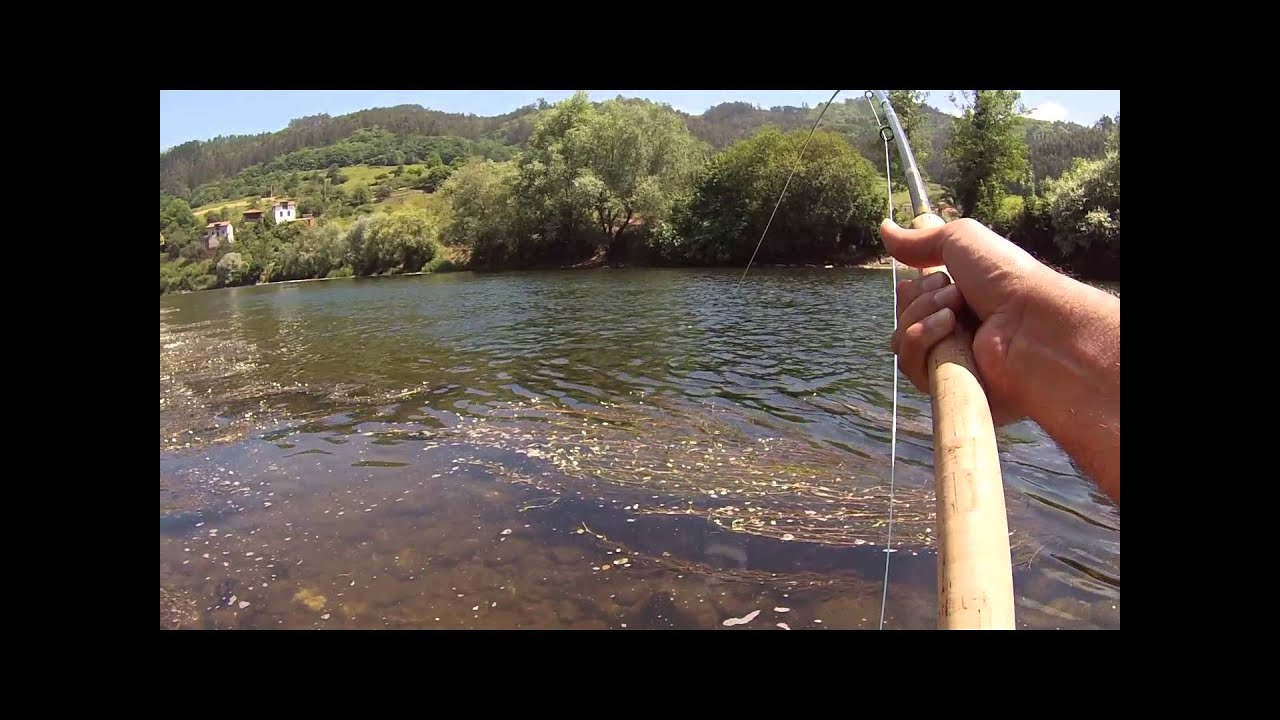 SALMON NARCEA 2014
