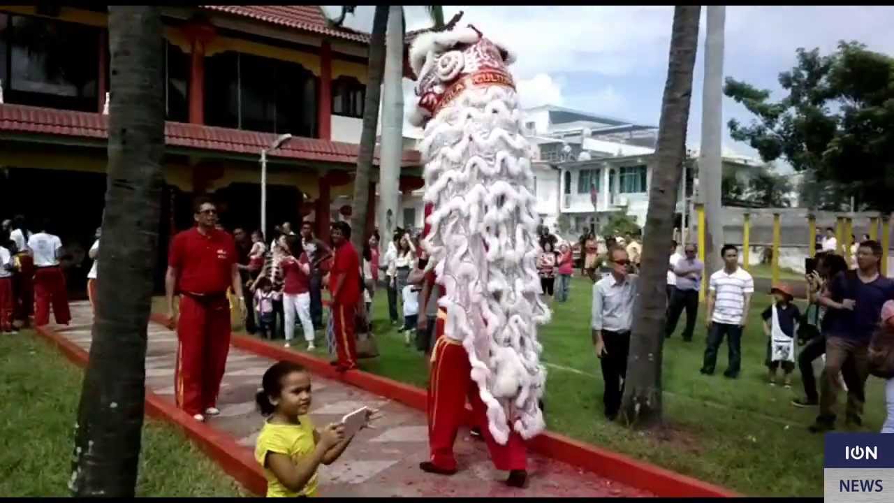 Kwan Tee - KUNG SHEE FAT CHOY