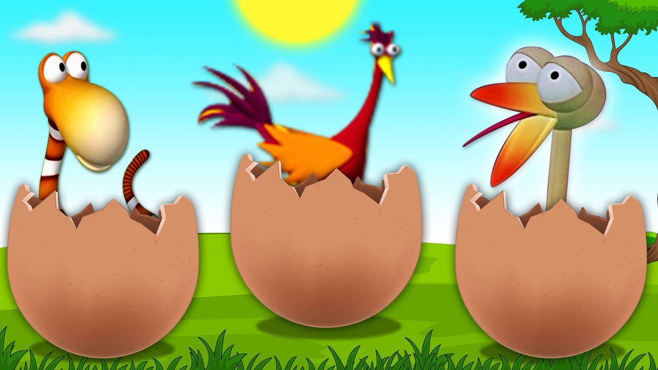 Gazoon - Egg shaped | New Episode | Funny Animals Cartoon Show | Cartoon For Kids