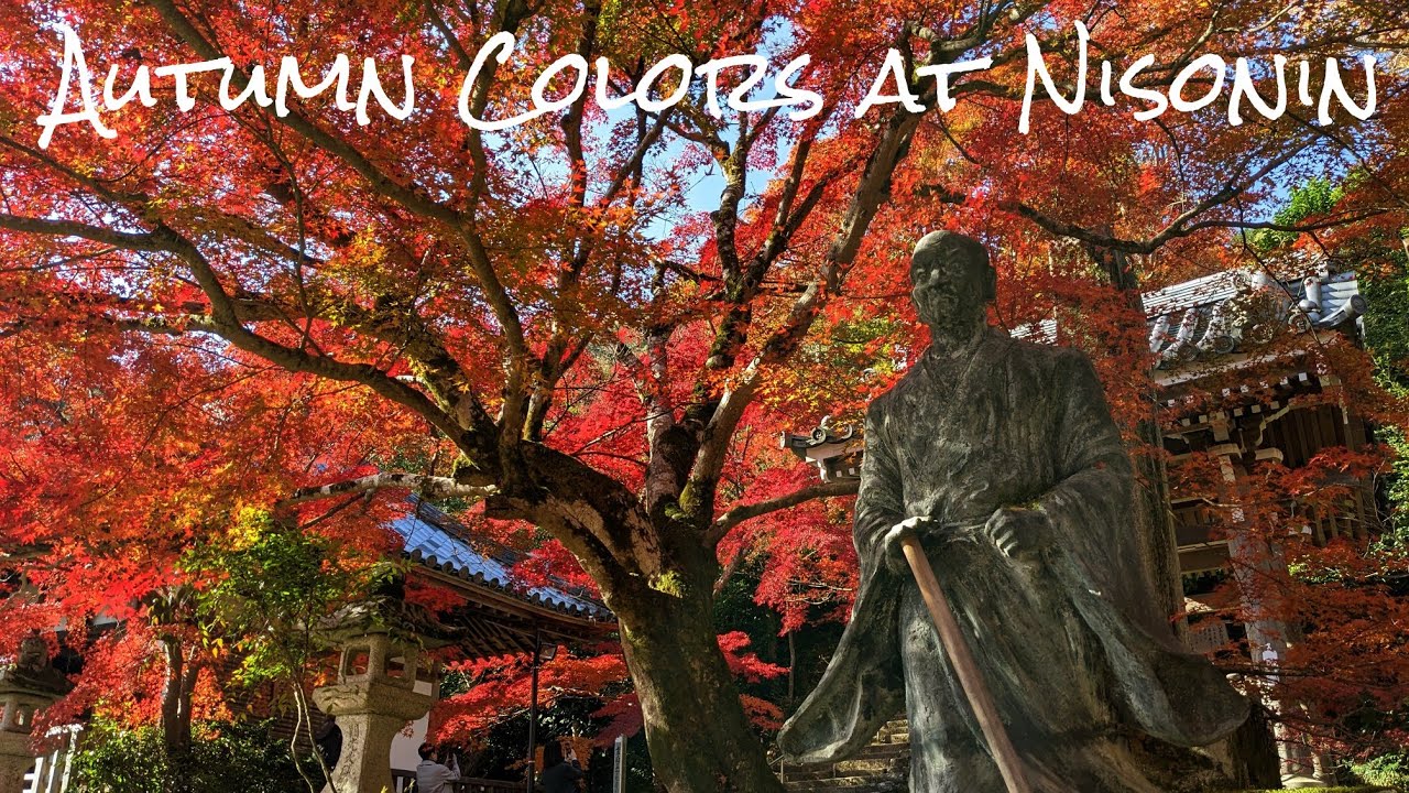 Autumn Colors at Nisonin: Arashiyama, Kyoto, Japan!