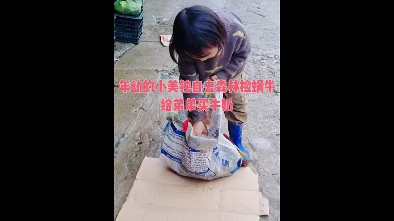 年幼的小美独自去森林捡蜗牛给弟弟买牛奶 #越南 #农村生活 #打工人 #荒野求生