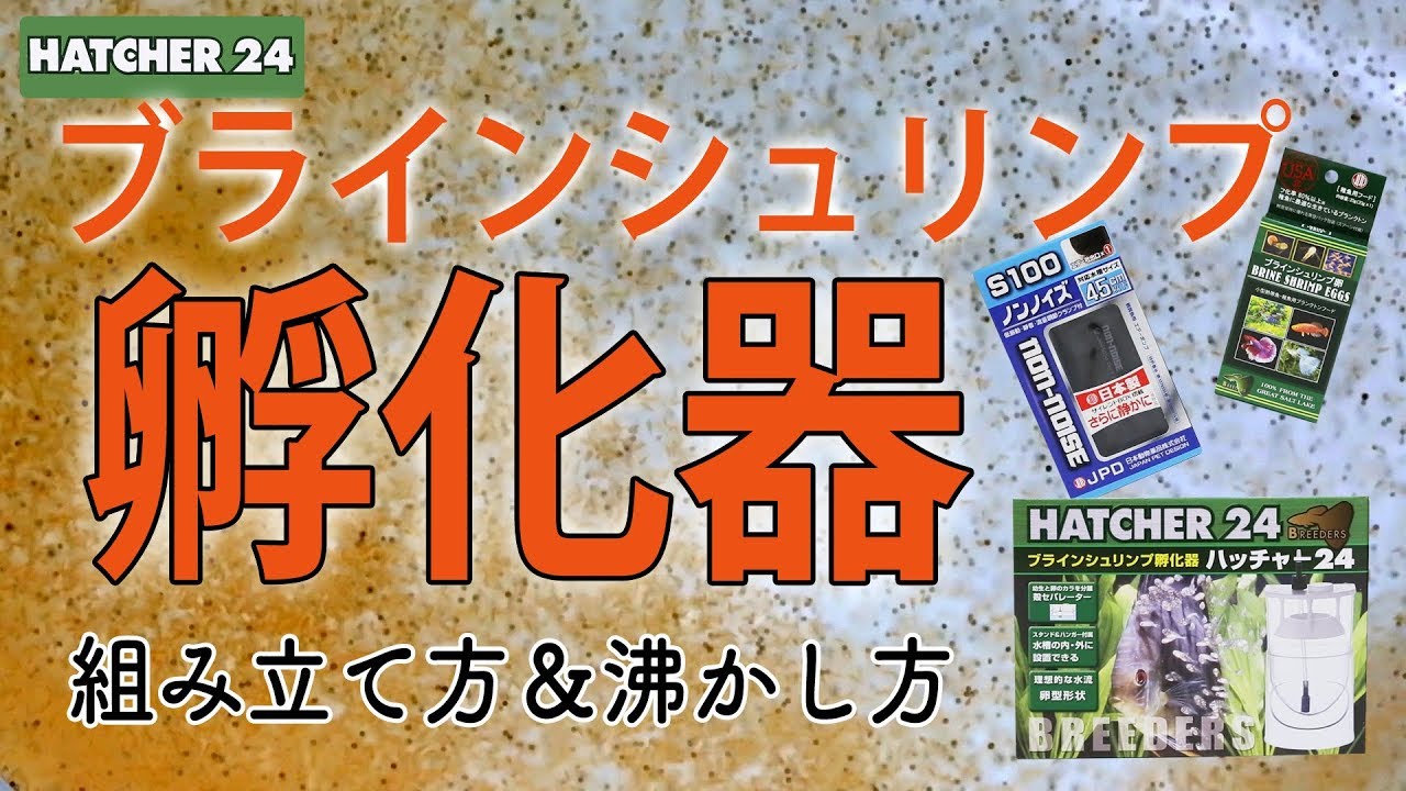 【チャーム】ブラインシュリンプ孵化器　組み立て方＆沸かし方　brine shrimp