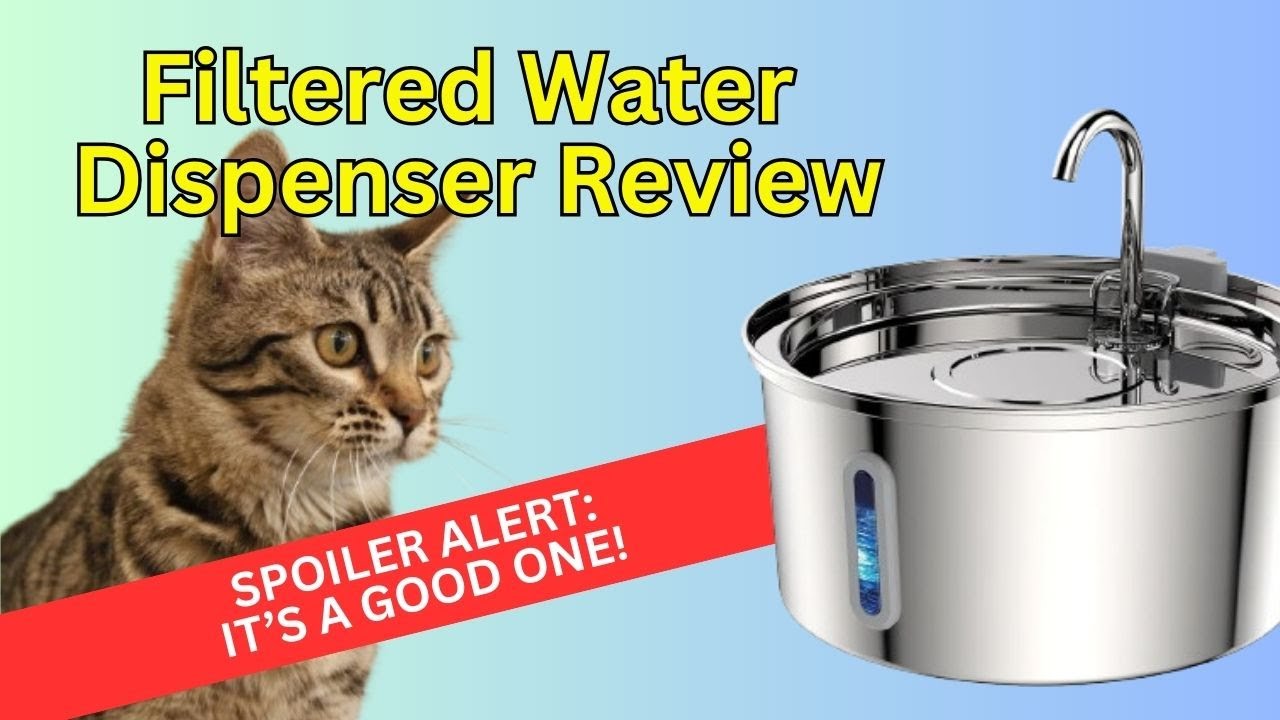 Tomxcute Cat Water Fountain Review | Best Filtered Water Dispenser for Cats