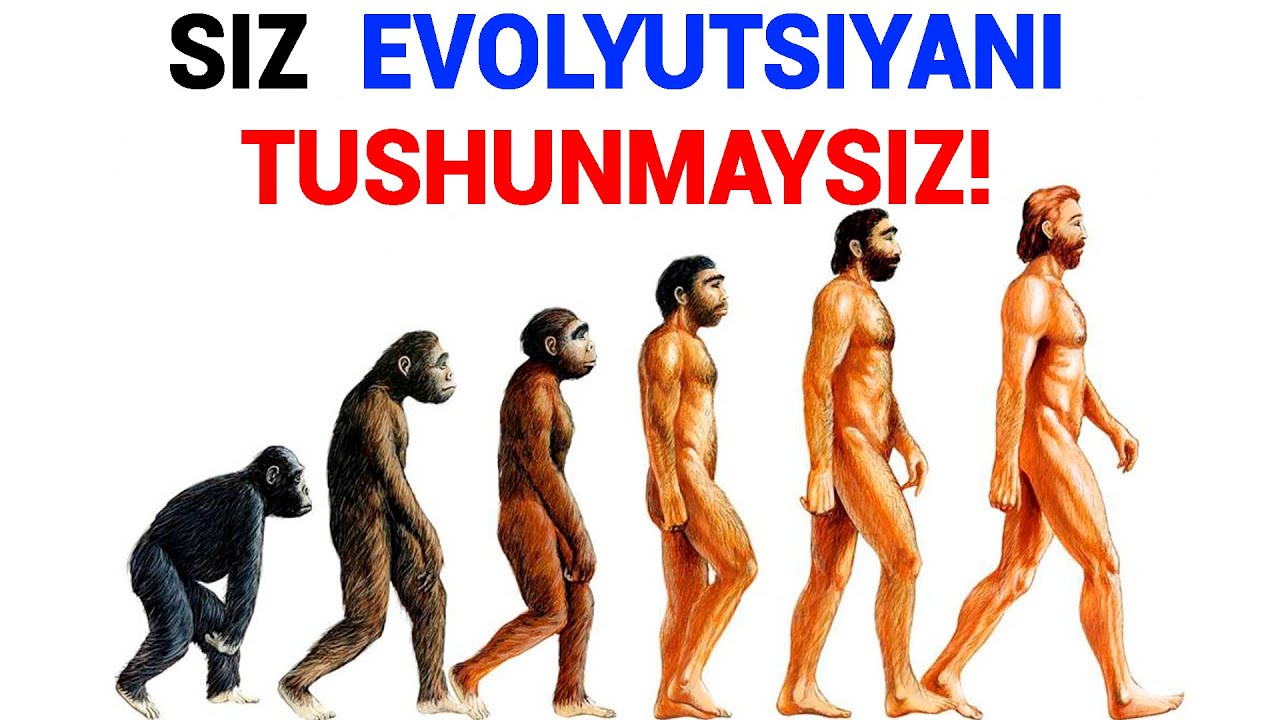 EVOLYUTSIYA NIMA?