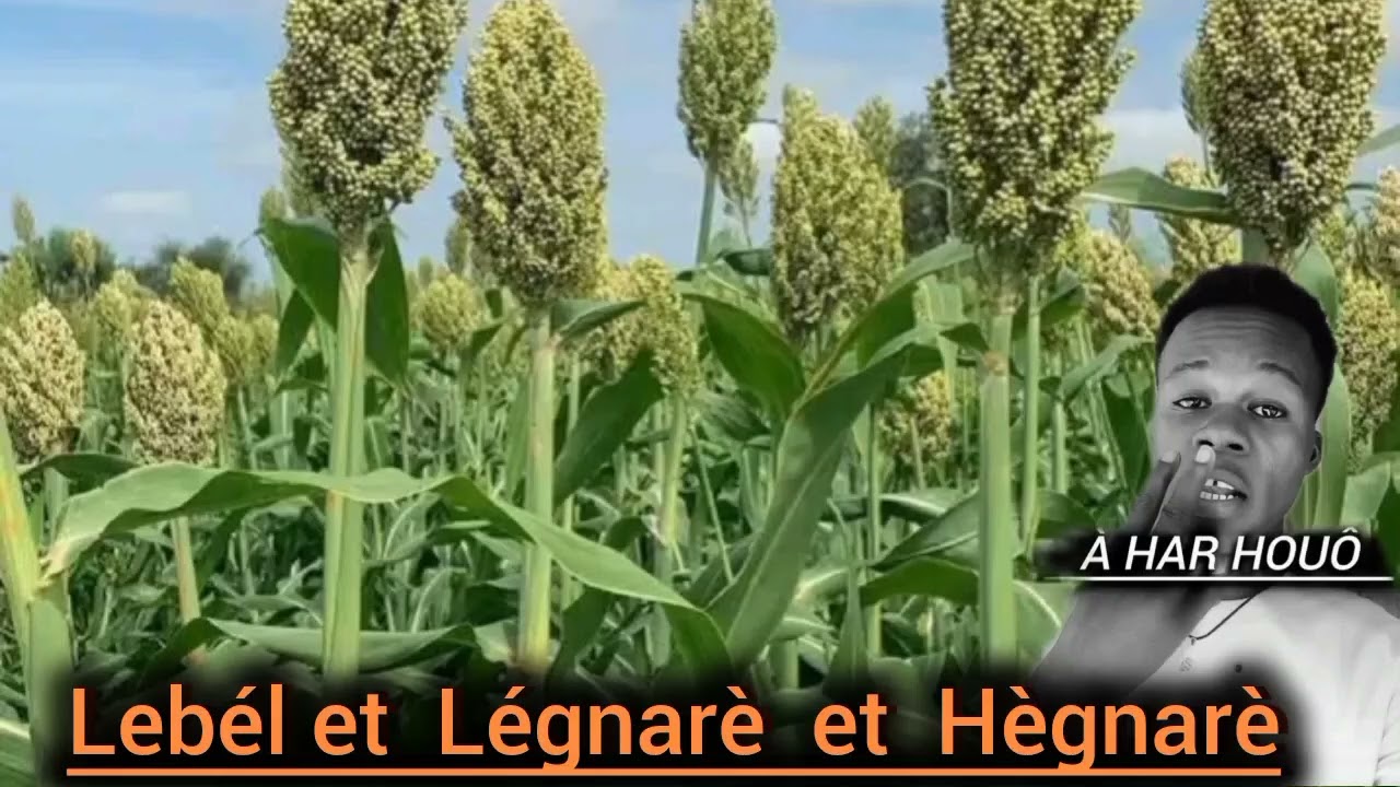 Lebél et Légnarè et Hègnarè 