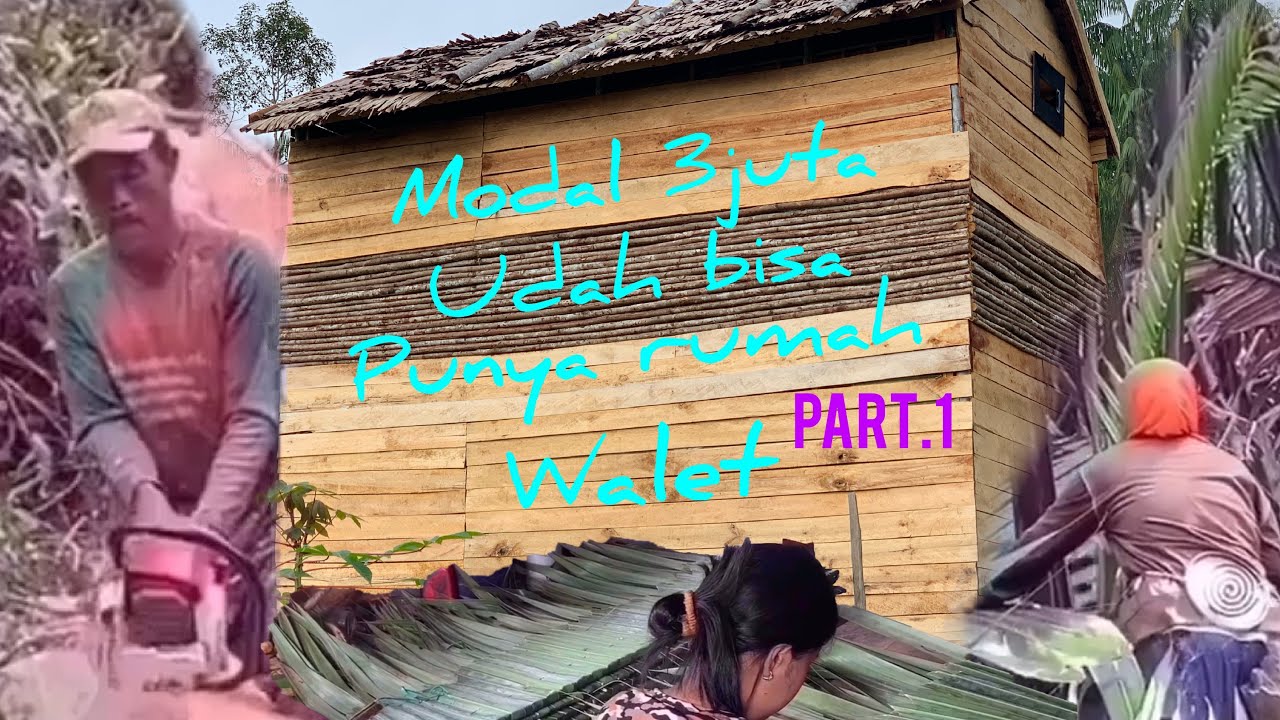 Modal buat rumah walet Hanya 3 juta