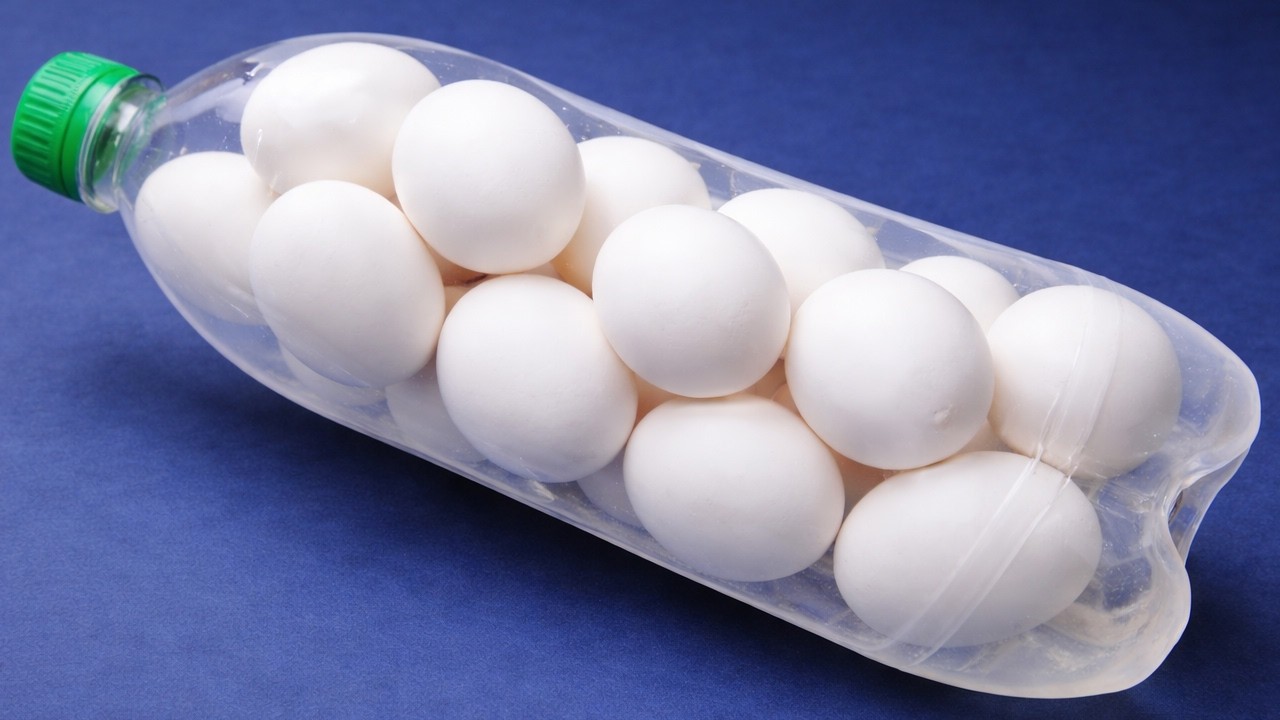 MORRIA E NÃO SABIA🚨 GARRAFA PET com OVOS♻️🥚