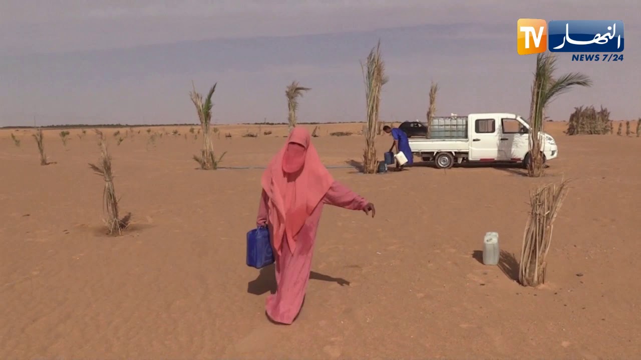 ورقلة: جميلة ..  فلاحة تفضل خدمة أرضها وسيقها بيدها