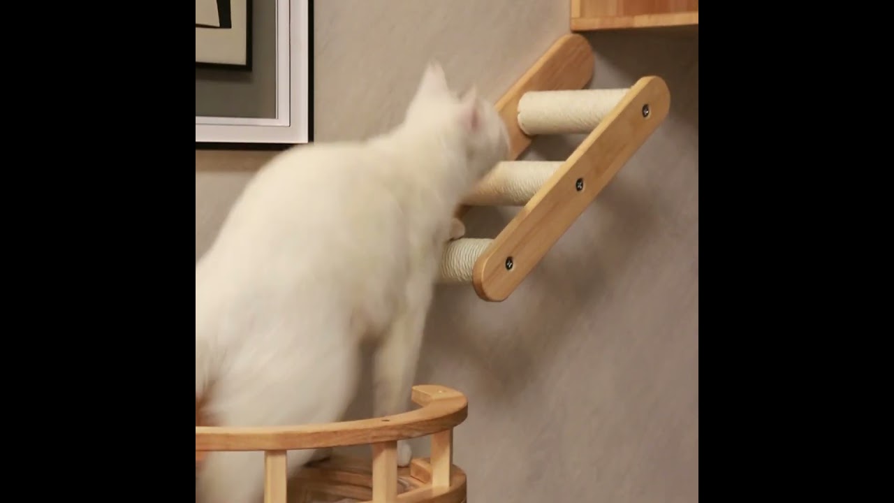 Wall Mounted Cat Perch, Cat Wall Furniture