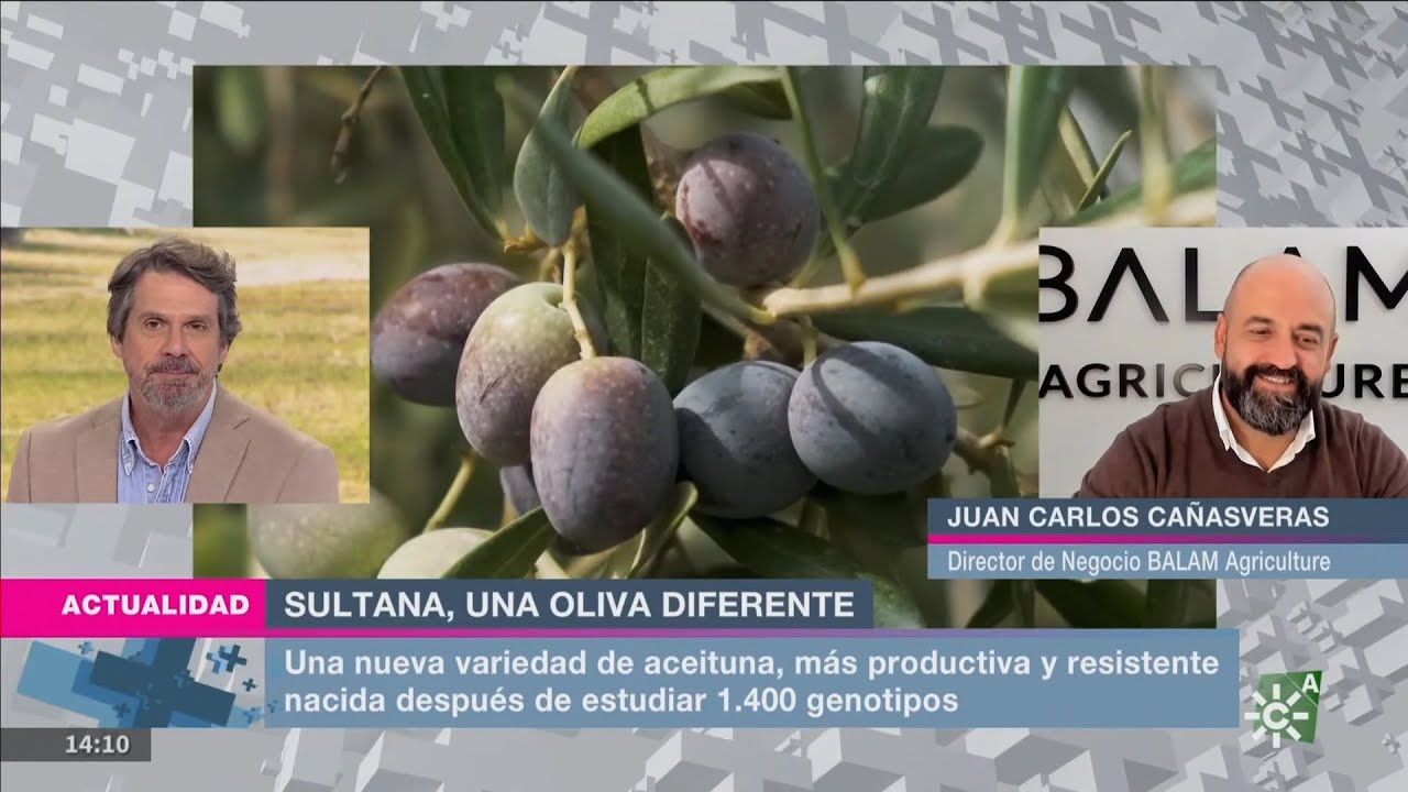 SULTANA en Mesa de Análisis de Canal Sur