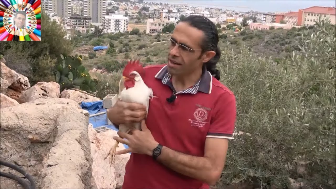 Küçülme Sonrasında Kümeslerimizin Son Hali