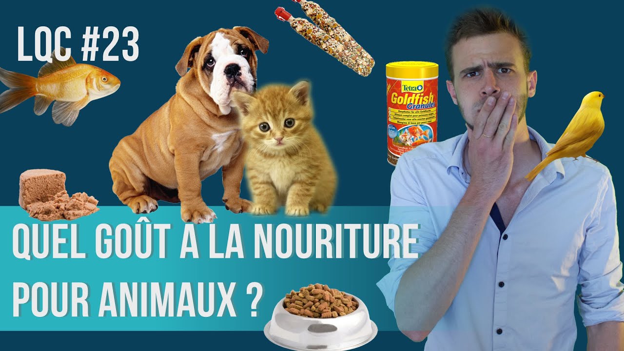 Quel est le go&ucirc;t de la nourriture pour animaux ? LQC #23