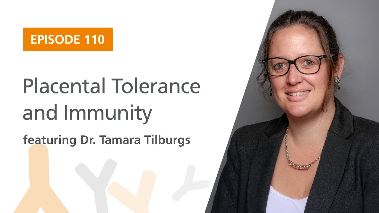 Placental Tolerance and Immunity featuring Dr. Tamara Tilburgs | The Immunology Podcast