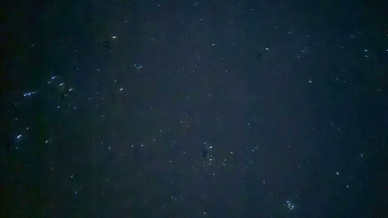 セイレーンの夢