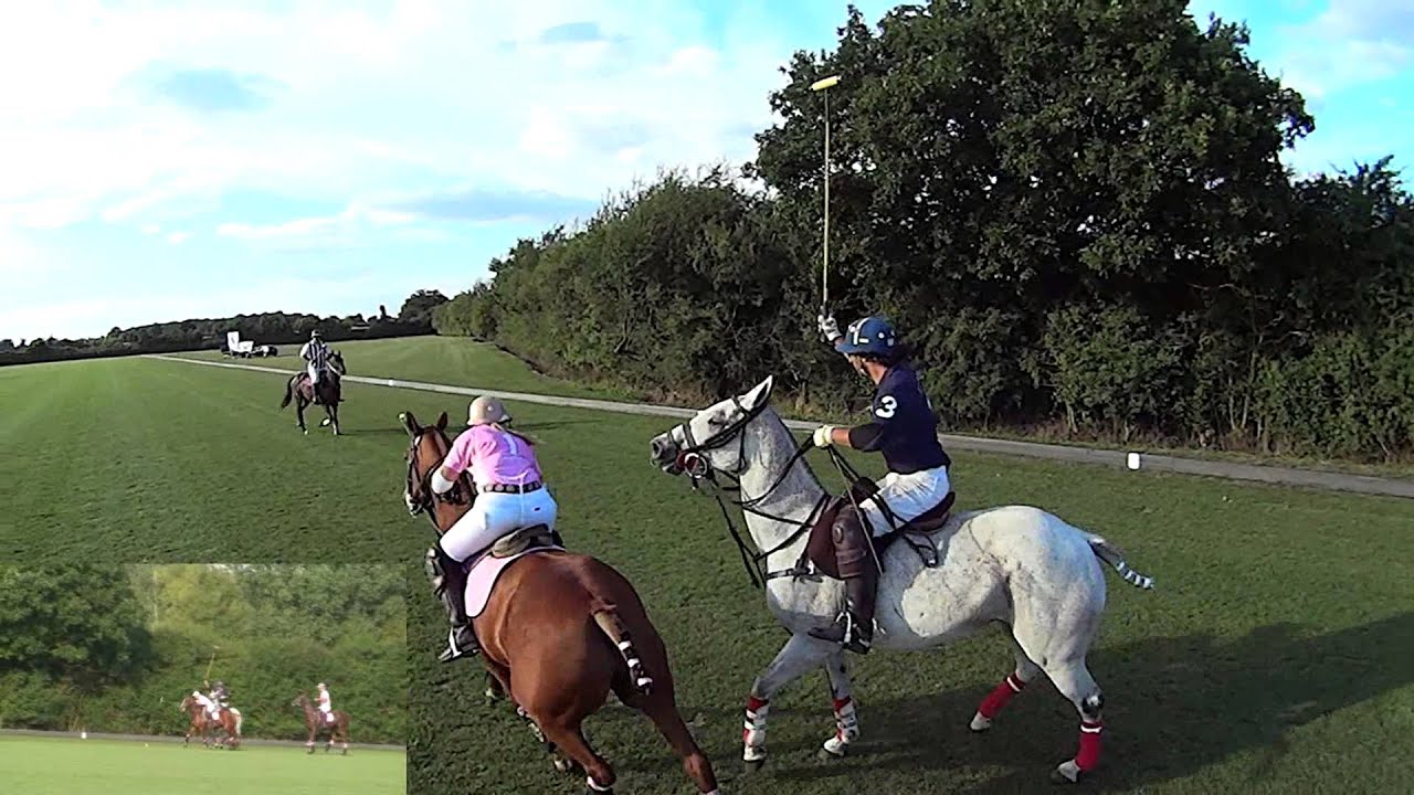 Polo - A duality of perspective.