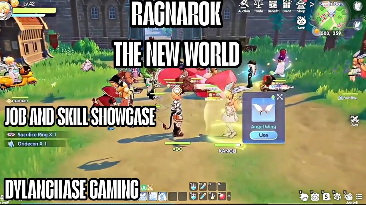 RAGNAROK — НОВЫЙ МИРОВОЙ ПРОФЕССИОНАЛЬНЫЙ ПЛАН ПРОФЕССИЙ И НАВЫКОВ