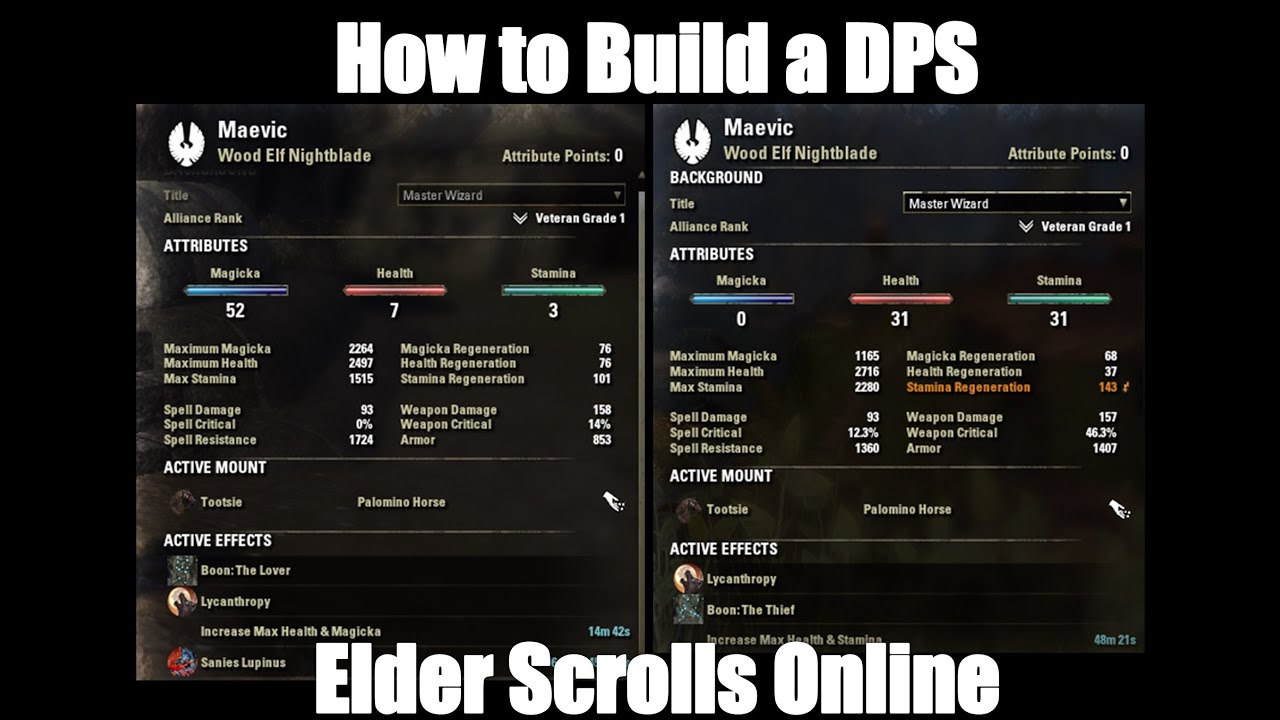 How to build a DPS character in Elder Scrolls Online