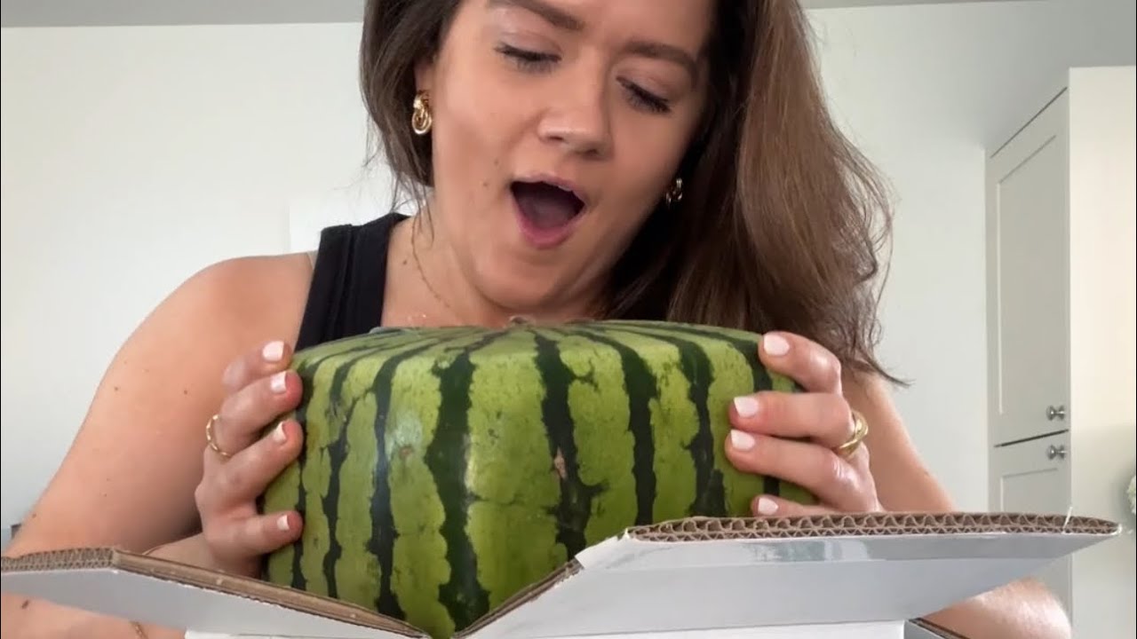 I bought a SQUARE watermelon imported from Japan!!!