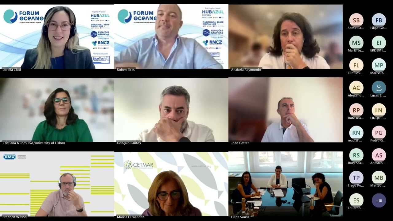 WestMED Portugal webinar: EU Sea Basin Strategies in Action (15 July 2025)