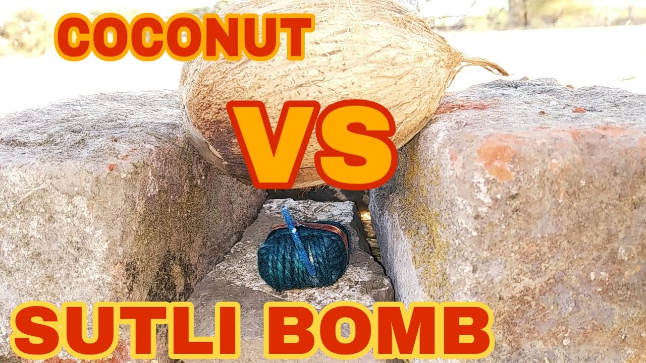Coconut Vs Diwali Sutli | Experiment