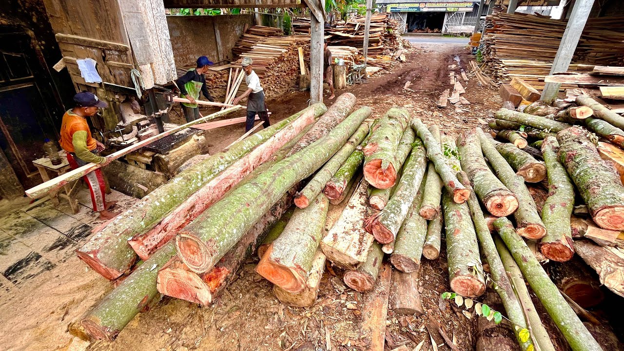It’s Really Stressing To See The Performance Of A Sawmill Operator When Sawing A Pile Of Bayur Wood
