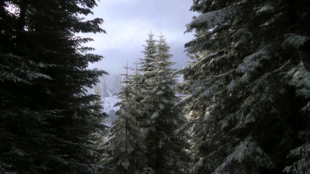 Silent Night - Tin whistle