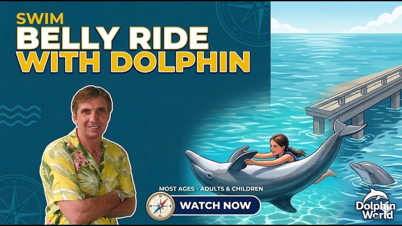 Dolphin Swim Adventure in Florida & Mexico & Caribbean