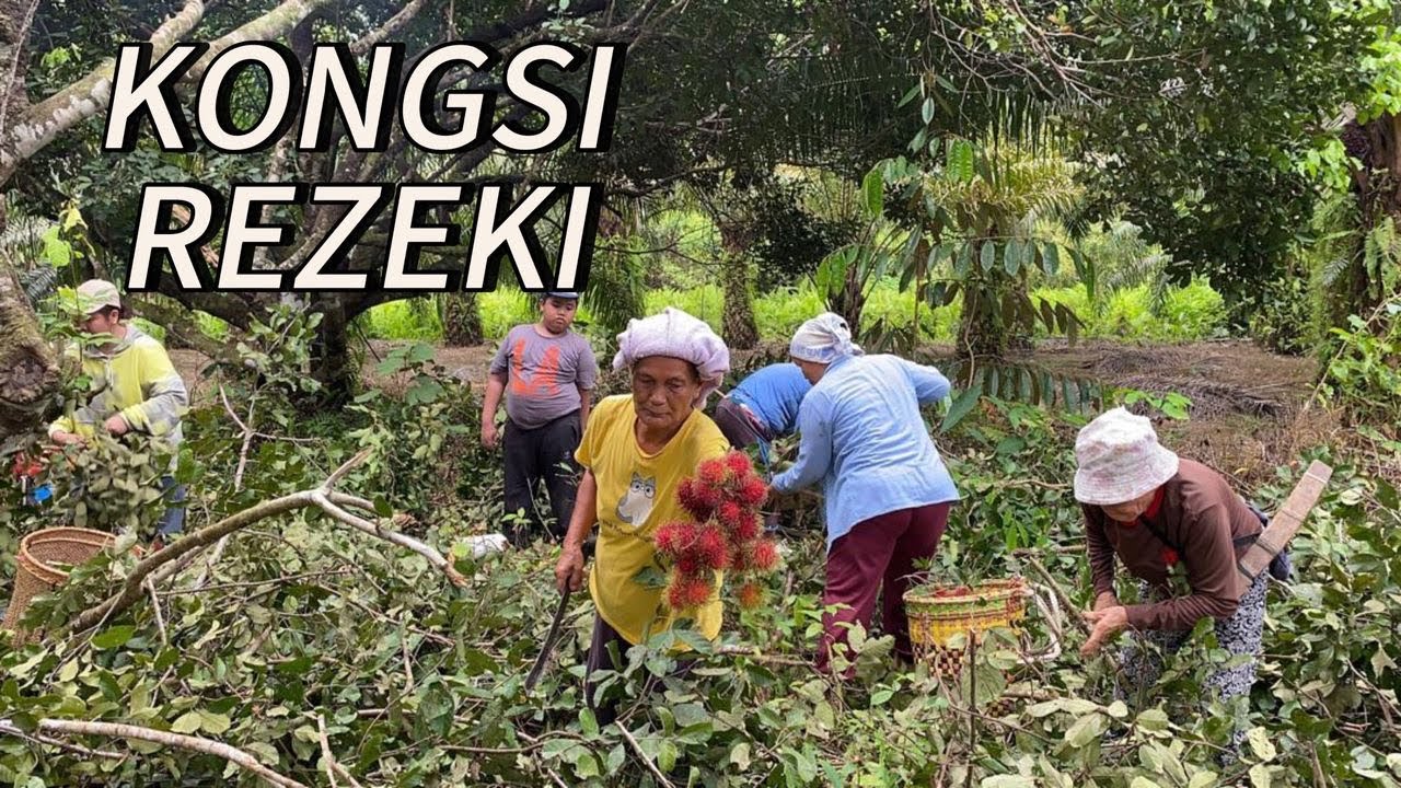 KONGSI REZEKI BERSAMA SAUDARA MARA || RAMBUTAN ISI TEBAL