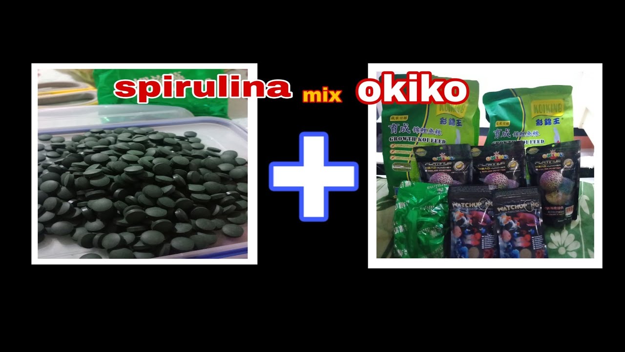 Spirulina mix okiko at secretong ti**ti**? 😂
