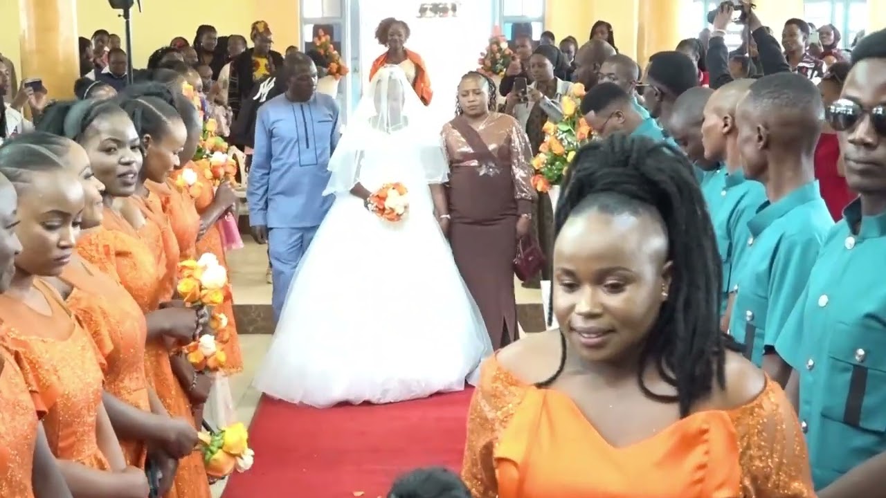 March 3, 2026