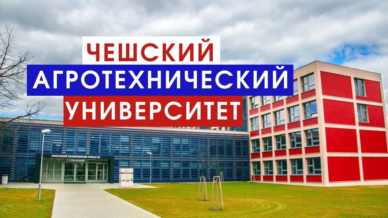 ВСЕ О ЧЗУ!!! ЧЕШСКИЙ АГРОТЕХНИЧЕСКИЙ УНИВЕРСИТЕТ