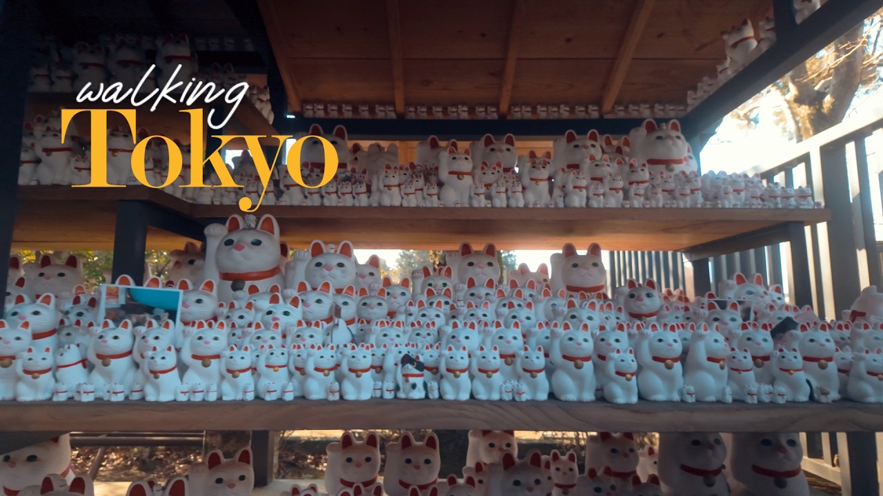 Walking Tokyo【東京散歩】松陰神社から豪徳寺へ | Shoin Shrine to Gotokuji 