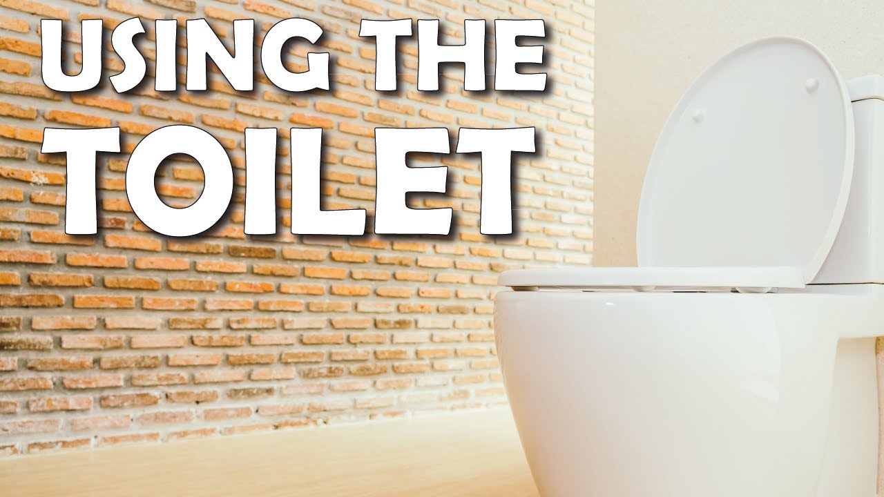 How do you use the Toilet - Mufti Menk