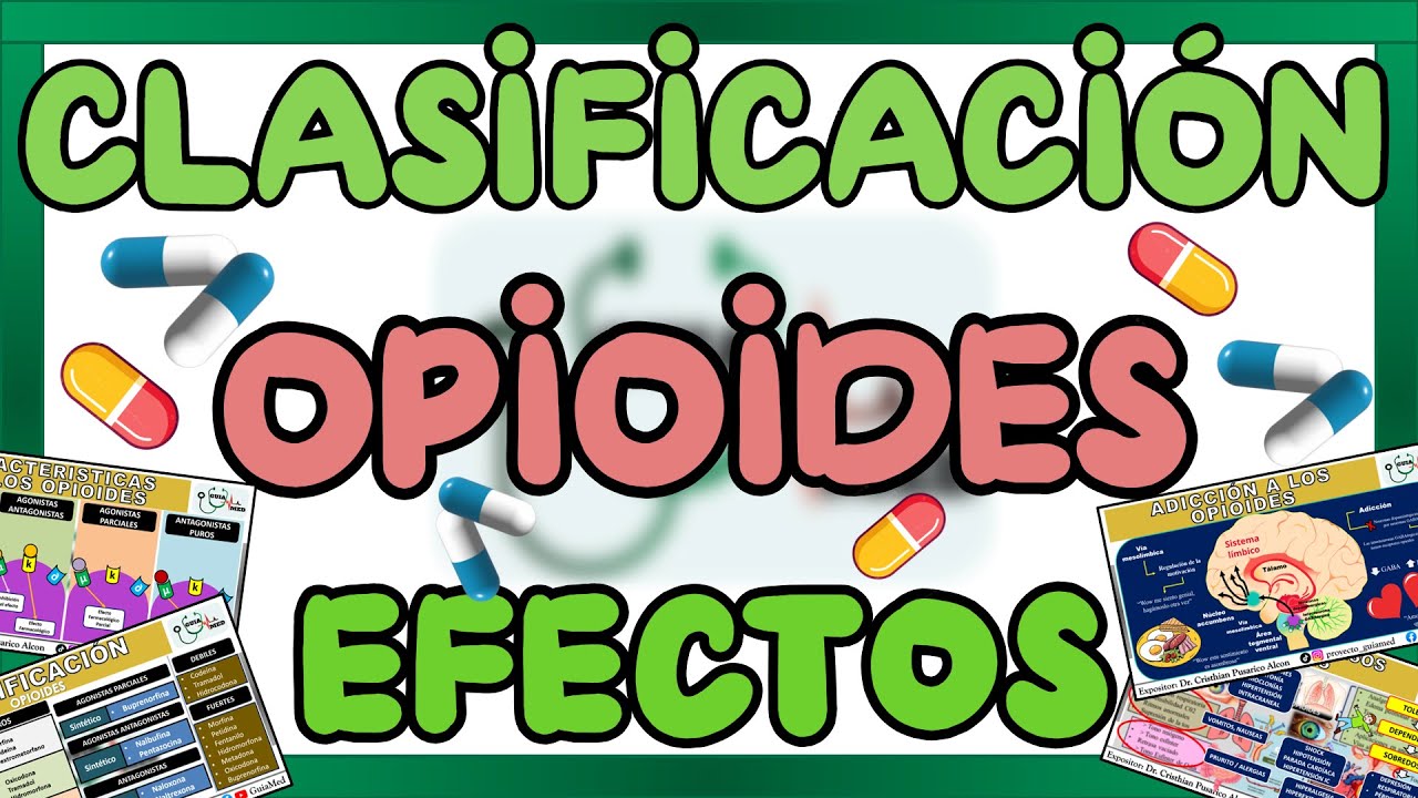 OPIOIDES CLASIFICACIÓN Y EFECTOS FRMACOLÓGICOS | GuiaMed