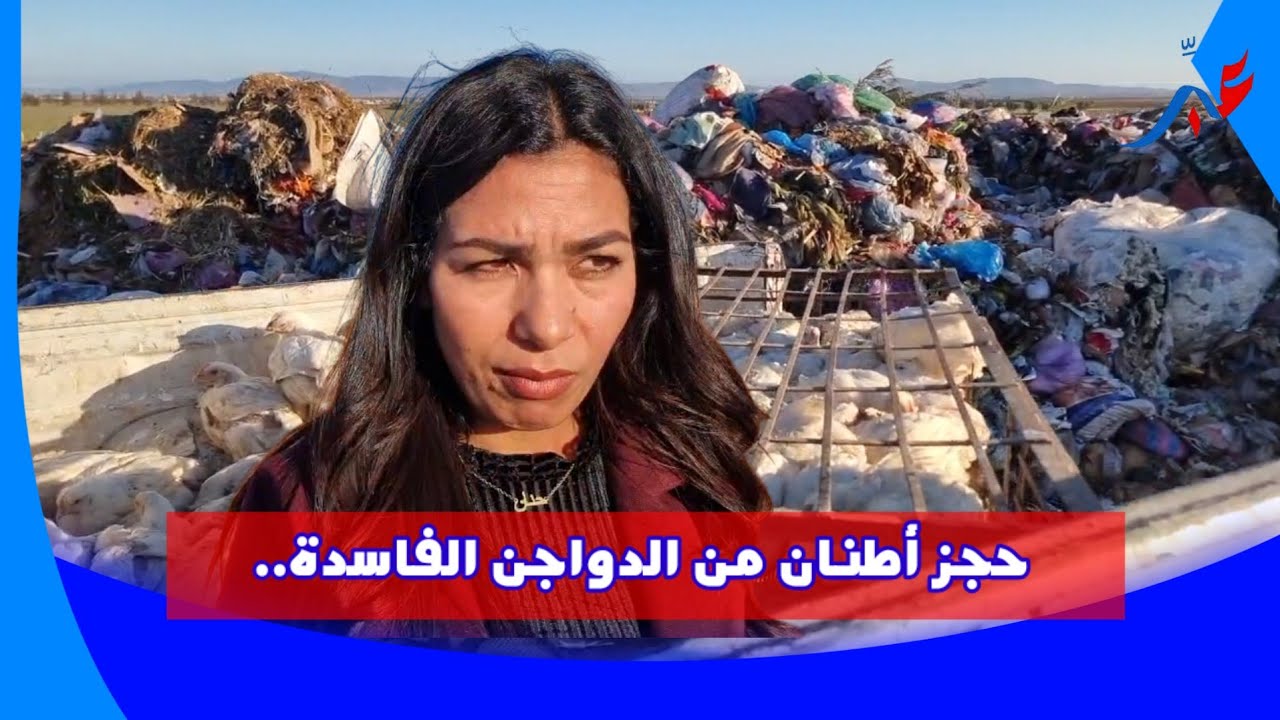 سيدي سليمان بعد حجز أطنان من الدواجن الفاسدة.. السلطات تتلف المحجوز وسط جدل يرافق الخطوة