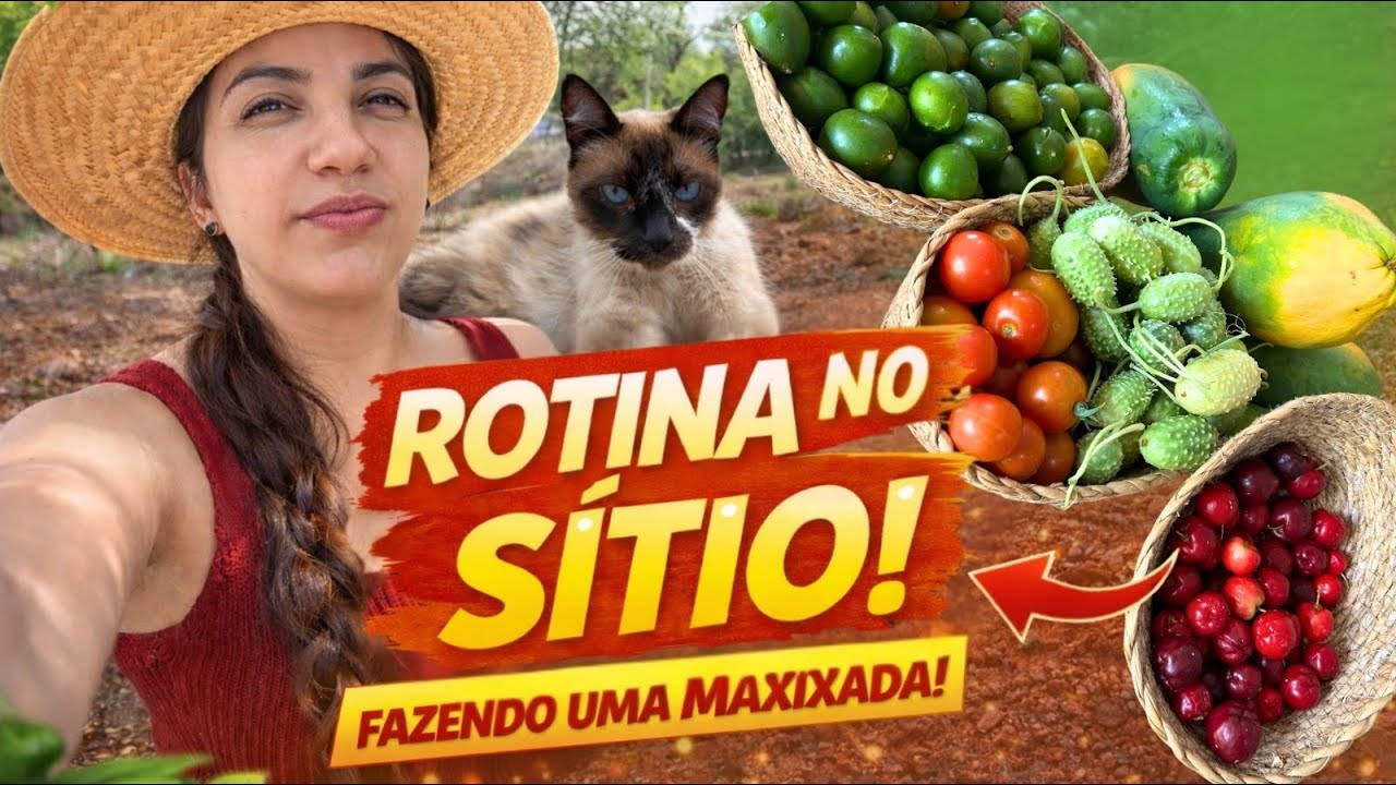 Rotina no sítio 🌿 | Maxixe no fogão, almoço caseiro e umbuzada da roça