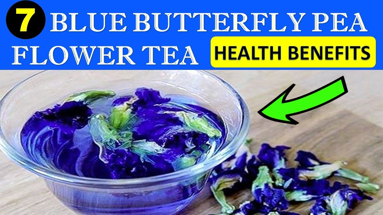 7  INCREDIBLE Health Benefits of the Blue Butterfly Pea Flower Tea