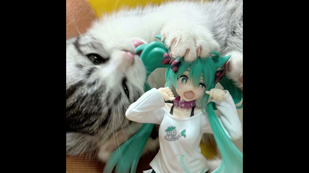 [FREE FOR PROFIT] Prettifun type beat - 