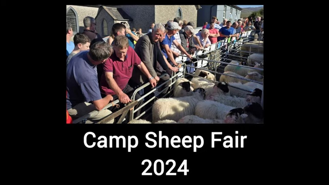 Camp Sheep Fair 2024, Kerry.  18 September 2024.