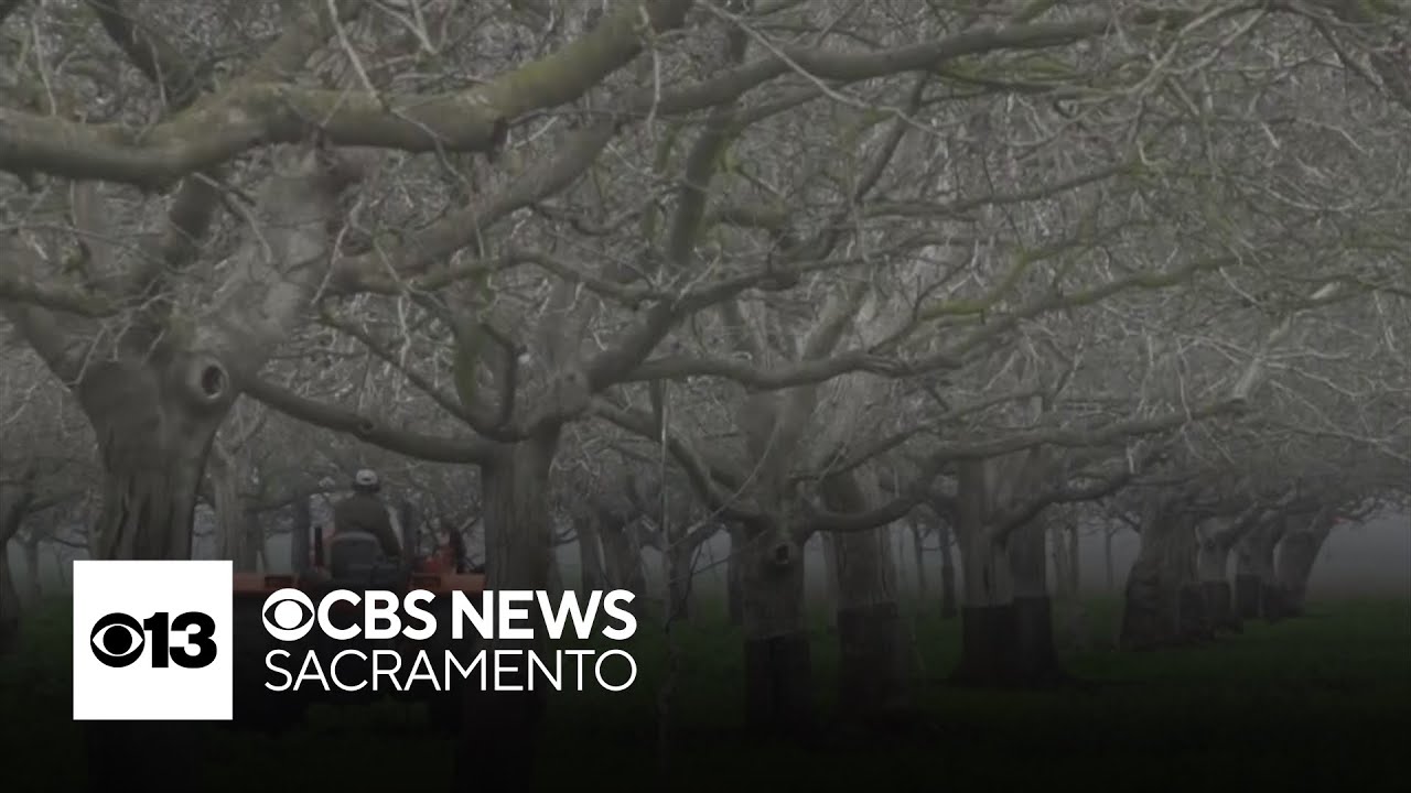 How has fog impacted agriculture in the San Joaquin Valley?
