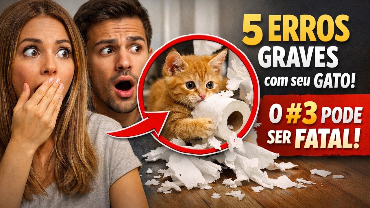 Você comete ESTES 5 ERROS com seu gatinho? 🙀 O #3 pode ser FATAL!