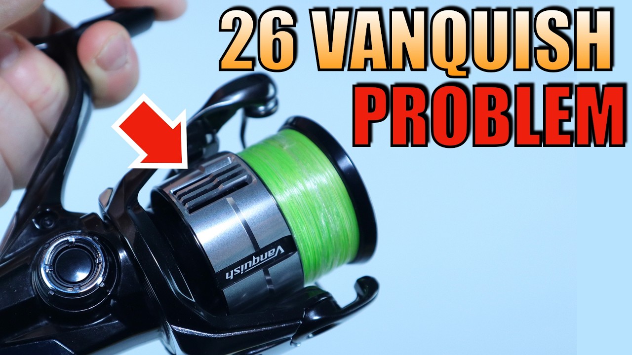 Don't Buy the New Vanquish until You See This...