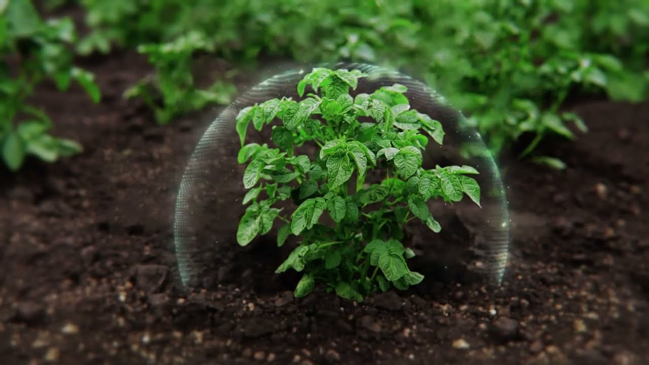A FORCE IN NEMATODE MANAGEMENT