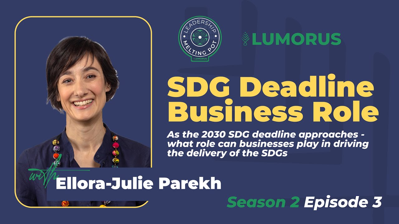 The 2030 SDG deadline approaches -what role can businesses play in driving the delivery of the SDGs?