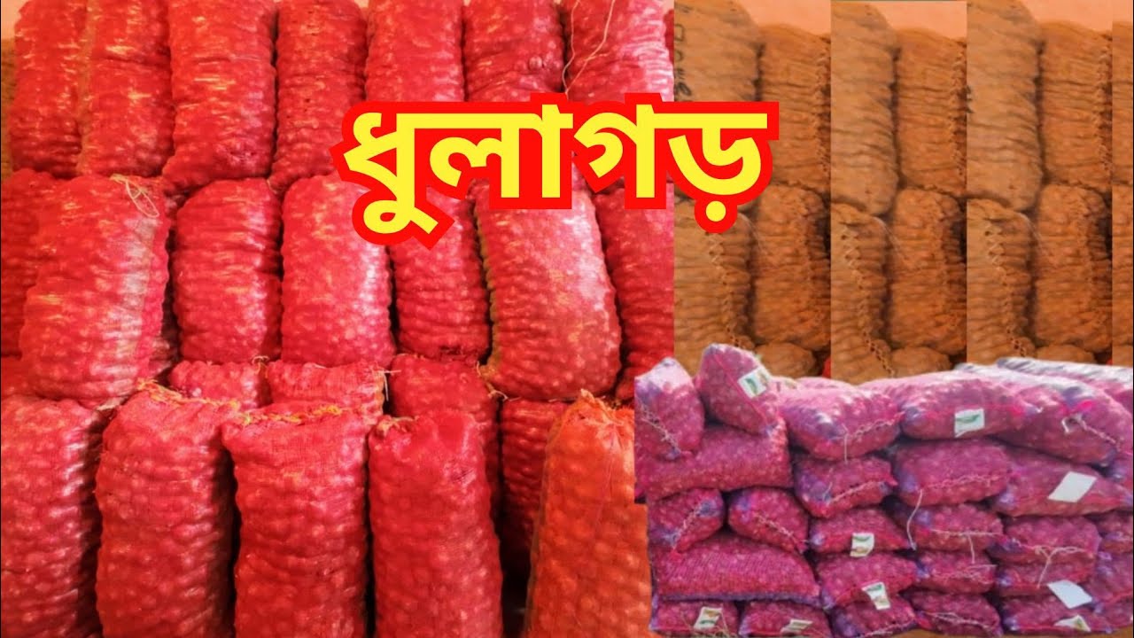 ধুলাগড়ে নাসিক ও সুখসাগর পেঁয়াজের দাম কেমন? | Onion Price Update in Dhulagarh |