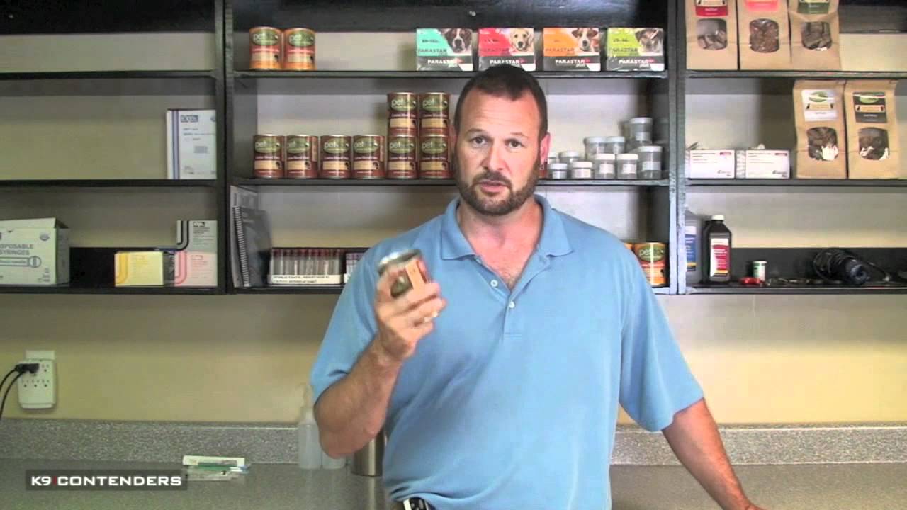 K9C Vet Dr. Smith - Most Important Dog Food Evaluator