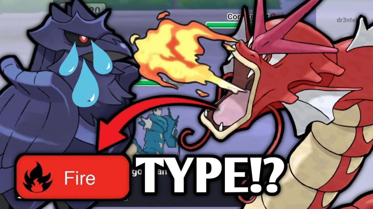 TERA FIRE GYARADOS BURNS CORVKNIGHT STALL PLAYER | POKEMON SCARLET AND VIOLET
