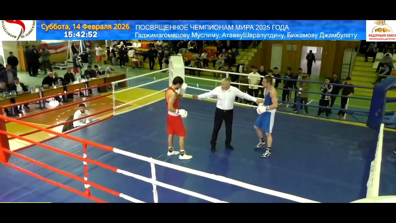 Бокс Громила Хаджимурад Чемпионат Дагестана 19 22 г.р Финал 14.02.2026г.
